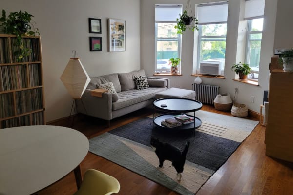 House sit in Borough of Queens, NY, US
