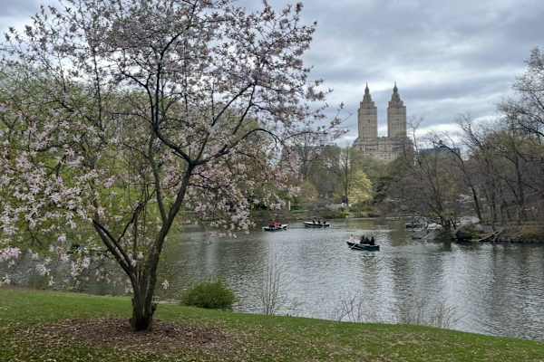 House sit in New York City, NY, US