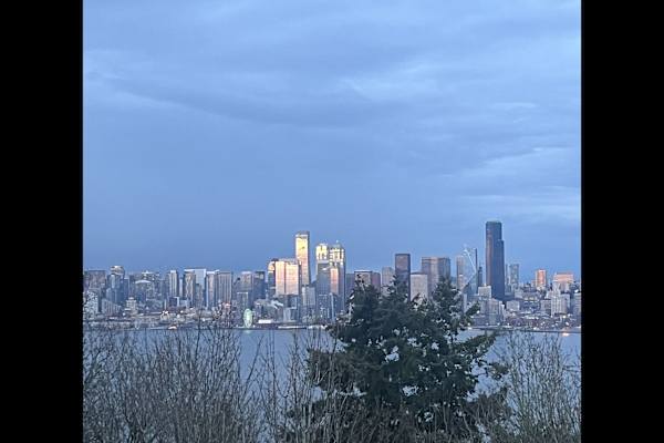 House sit in West Seattle, WA, US