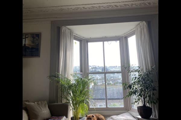 House sit in Truro, United Kingdom