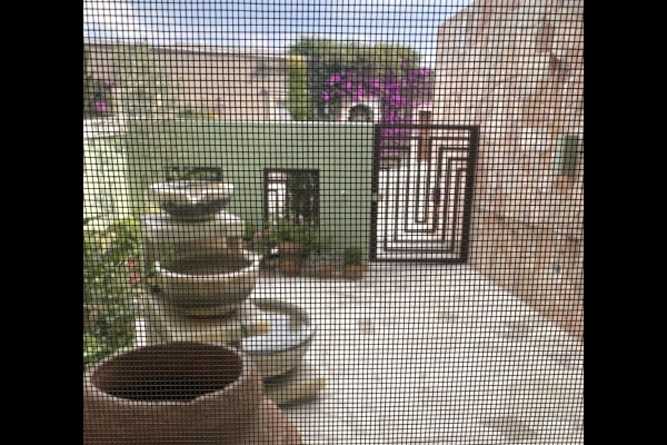 House sit in San Miguel de Allende, Mexico