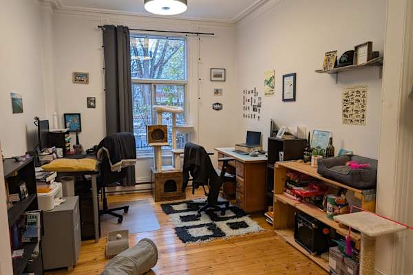 House sit in Montréal, QC, Canada