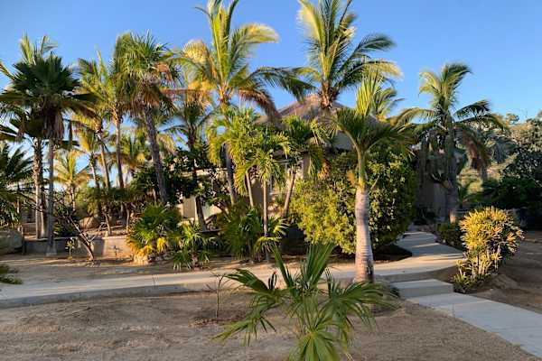 House sit in San José del Cabo, Mexico