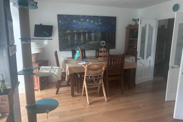House sit in Dublin, Ireland
