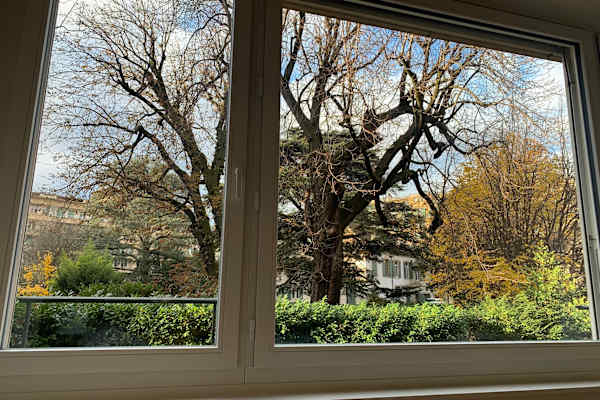 House sit in Genève, Switzerland