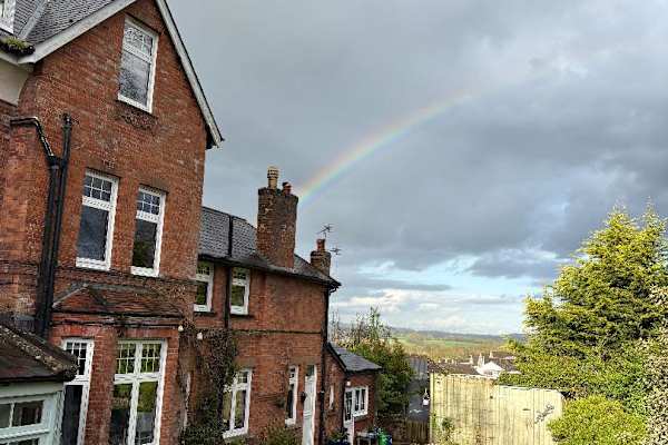 House sit in Tiverton, United Kingdom