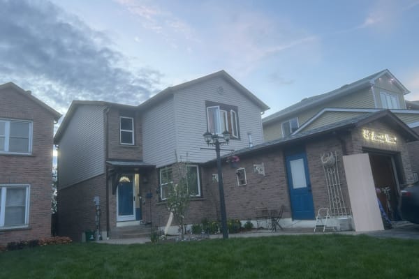 House sit in Whitby, ON, Canada