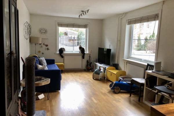 House sit in Oslo, Norway