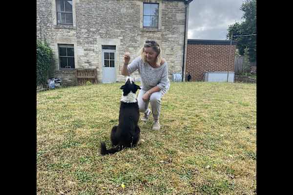 House sit in Bradford-on-Avon, United Kingdom