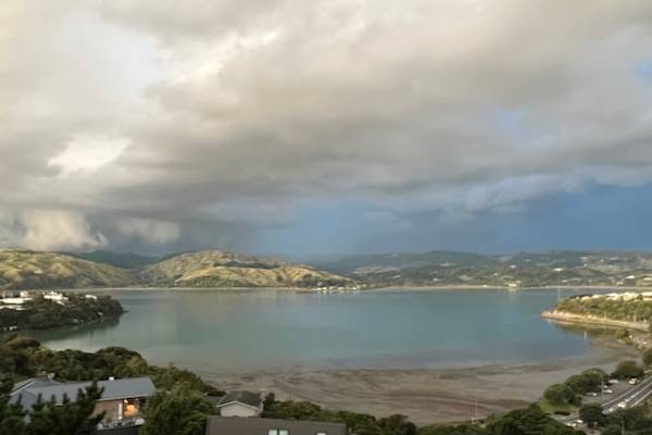 House sit in Paremata, New Zealand