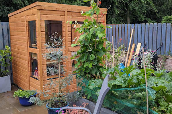 House sit in Edinburgh, United Kingdom