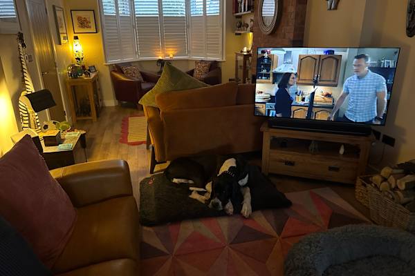 House sit in Nottingham, United Kingdom