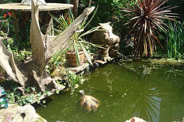 House sit in Flushing, United Kingdom