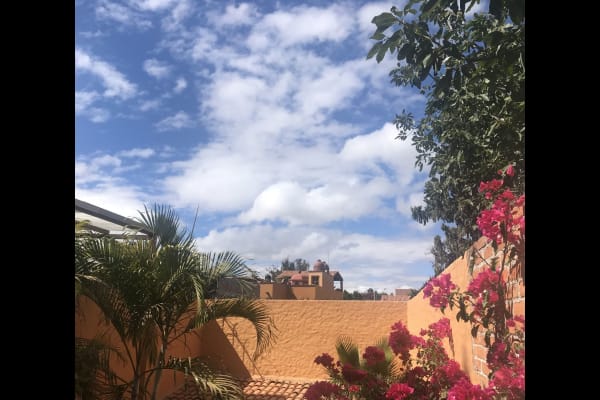 House sit in San Miguel de Allende, Mexico