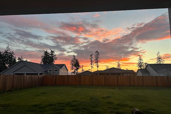 House sit in Port Townsend, WA, US