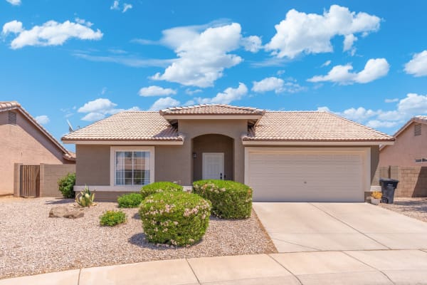 House sit in Chandler, AZ, US