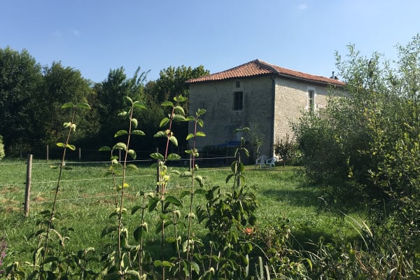 House sit in Aigre, France