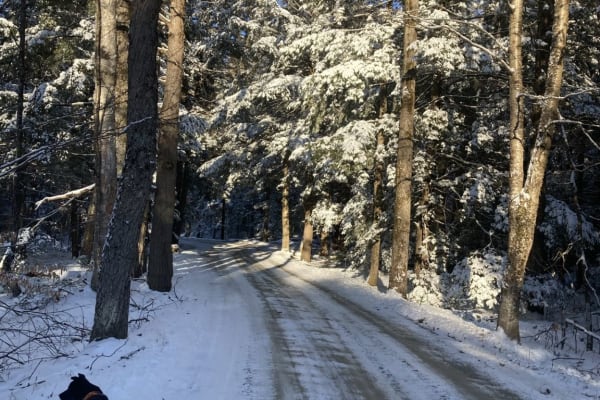 House sit in Morrisville, VT, US