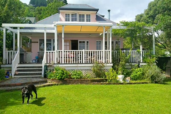 House sit in Nelson, New Zealand