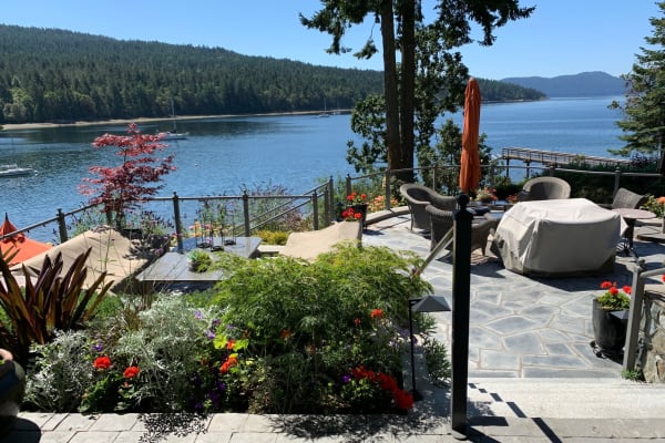 House sit in Victoria, BC, Canada