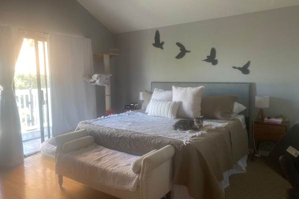 House sit in Alameda, CA, US