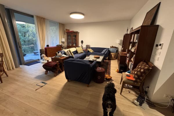 House sit in Bratislava, Slovakia