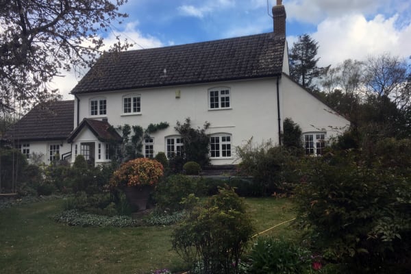 House sit in Witchampton, United Kingdom