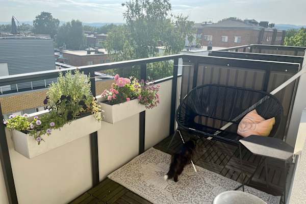 House sit in Oslo, Norway