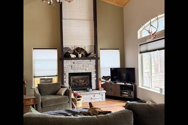 House sit in Pagosa Springs, CO, US