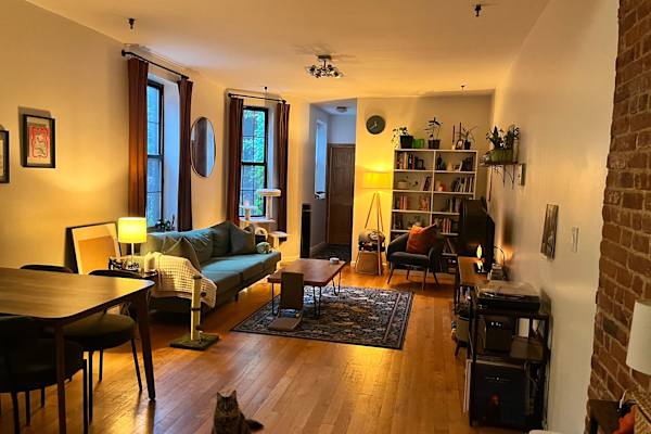 House sit in Brooklyn, NY, US