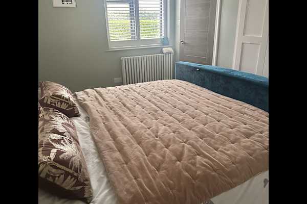 House sit in Saint Martin, Guernsey