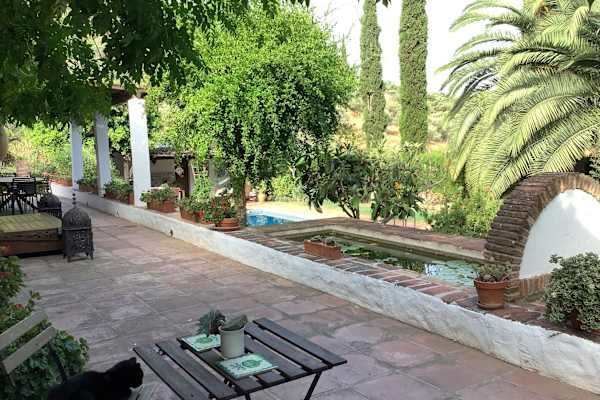 House sit in Málaga, Spain