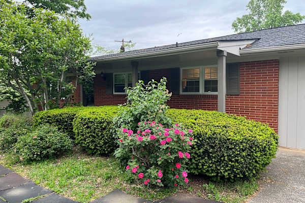 House sit in Knoxville, TN, US