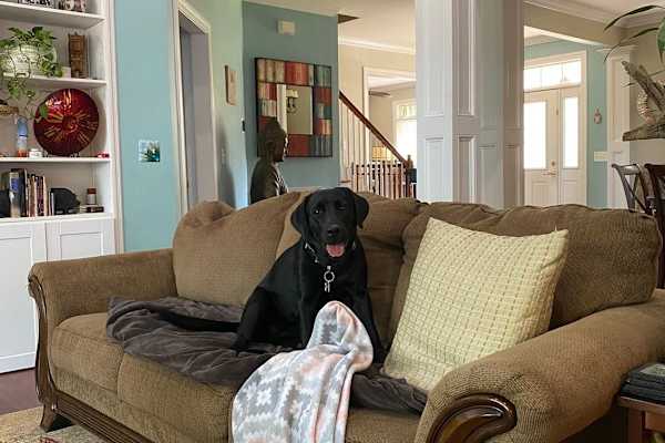 House sit in Charleston, SC, US