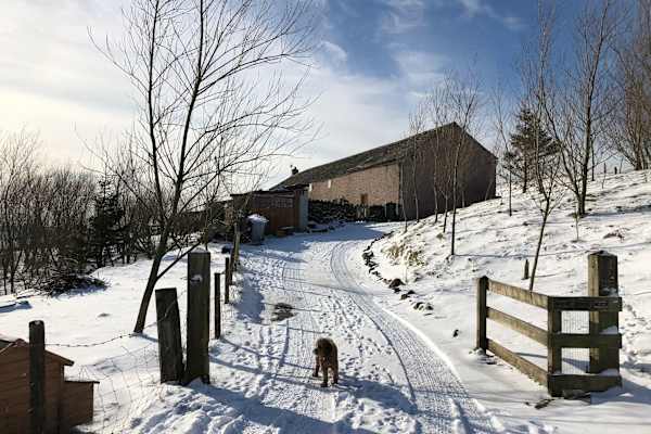 House sit in Buxton, United Kingdom