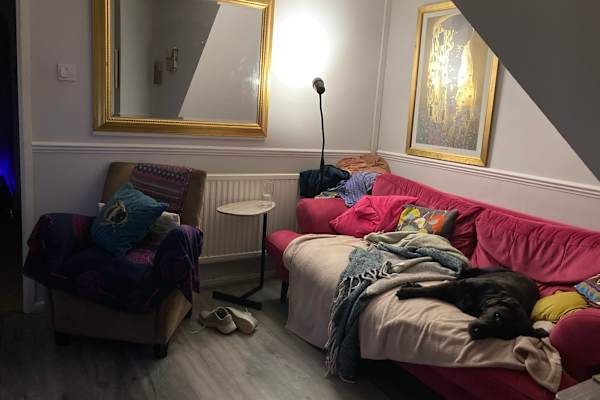 House sit in Oxford, United Kingdom