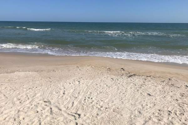 House sit in Apalachicola, FL, US