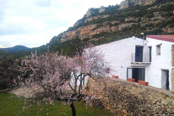 House sit in Vallibona, Spain