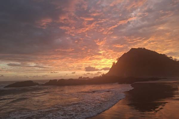 House sit in Port Macquarie, NSW, Australia