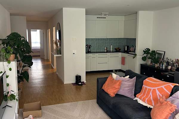 House sit in Zürich, Switzerland