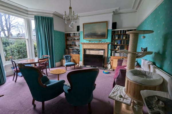 House sit in Leeds, United Kingdom