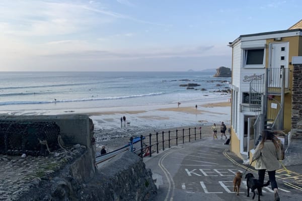 House sit in Saint Agnes, United Kingdom