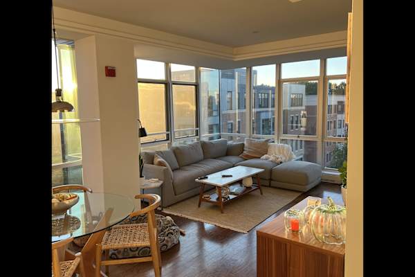 House sit in Boston, MA, US