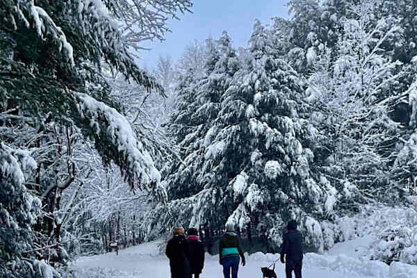 House sit in New London, NH, US