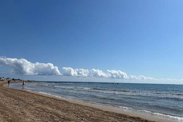 House sit in Torrenostra, Spain