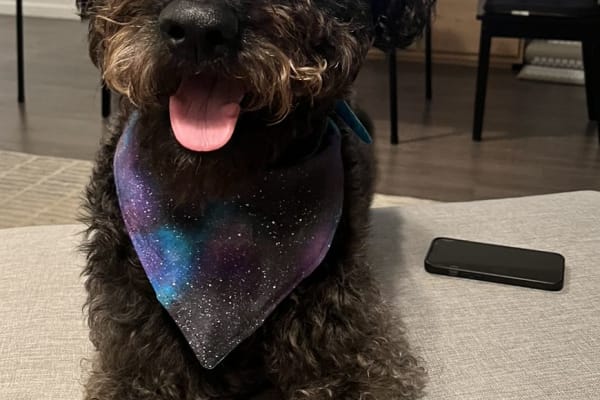 House sit in Wilmington, NC, US