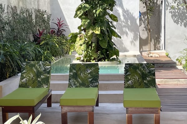 House sit in Mérida, Mexico