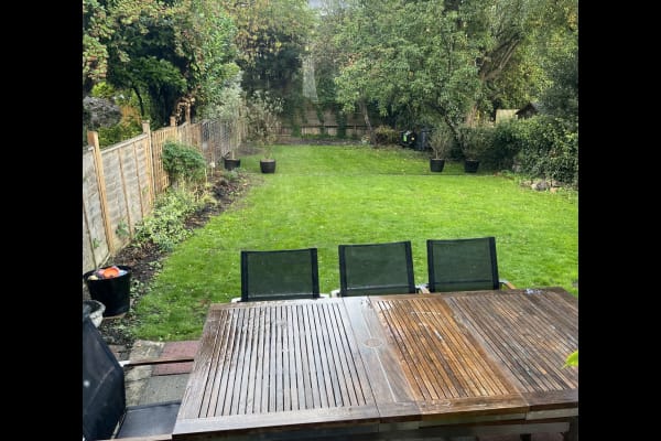 House sit in London, United Kingdom