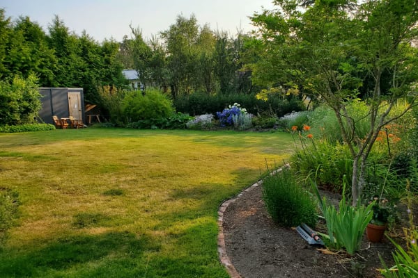 House sit in Victoria, BC, Canada