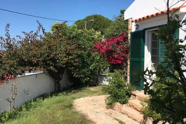 House sit in Malveira da Serra, Portugal